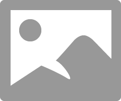Chnkv_0-1614298024381.png