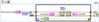 check.png