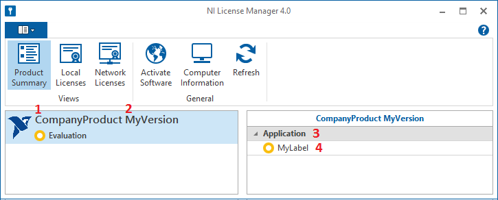 NI License Manager Example NI License Manager Example