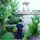 firmansyah700