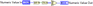 CountEm2.png
