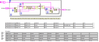 Process3D.png