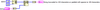 padstring.png