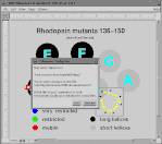 showcase-error.gif