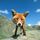 Volpe_CERN