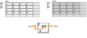 altenbach_0-1737484205496.png