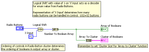 Radio Button to Boolean_BD.png