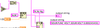 String format.png